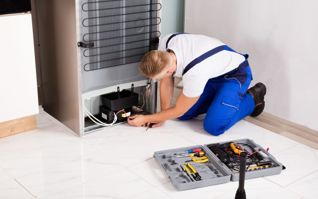 Common Commercial Fridge Problems and How Experts Fix Them
